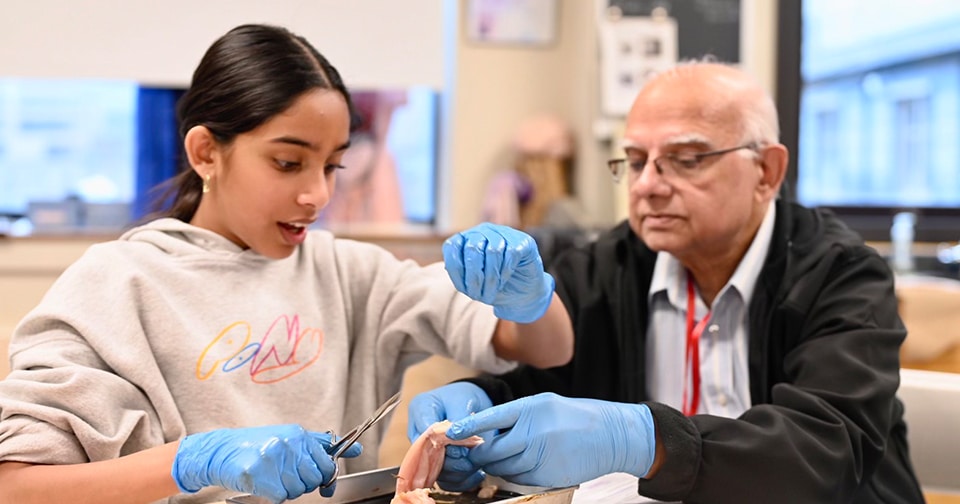 960x504news_grandriends A grandfather and granddaughter doing a chicken wing dissection in science class.