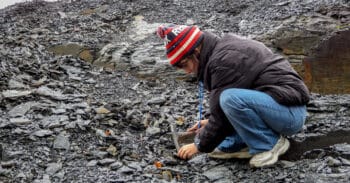 a student examines fossils in a field of black shale