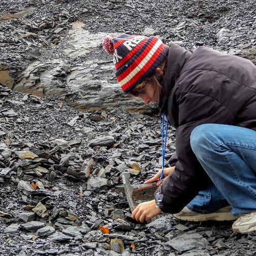 a student examines fossils in a field of black shale