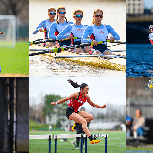 a grid of images from various spring sports