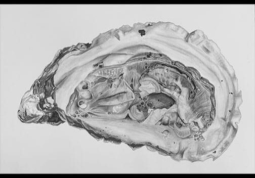 504x375_JosieGo.Silver.Drawing